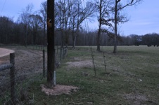 Stewart Farm, Jackson SC