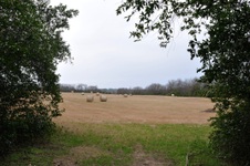 Enlarge photo 13