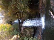 Enlarge photo 13