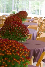 Woodcreek Fall Party