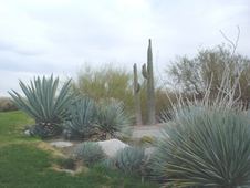 Enlarge photo 19