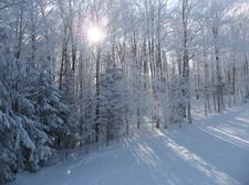Enlarge photo 161