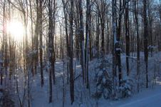 Enlarge photo 8