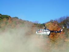 Enlarge photo 104