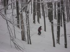Enlarge photo 164