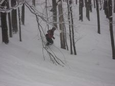 Enlarge photo 165