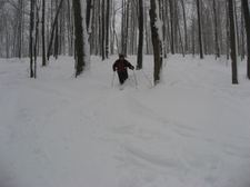 Enlarge photo 168