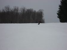 Enlarge photo 94