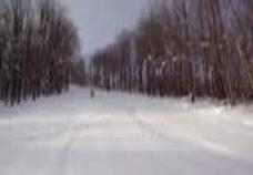 Enlarge MPEG 52