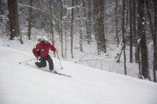 Enlarge photo 172