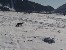 Enlarge photo 7