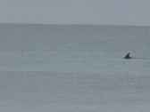 Enlarge photo 42