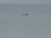 Enlarge photo 50
