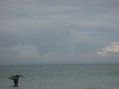 Enlarge photo 54