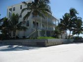 Enlarge photo 62