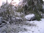 Storm damage- Friday the 13th