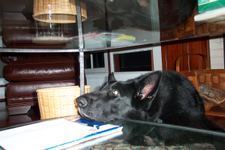 Enlarge photo 11