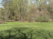 yard work