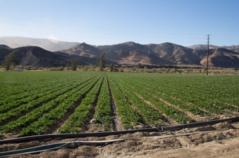 Newhall Land N of LA County Line