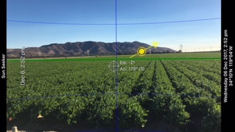 Newhall Orchard Fields