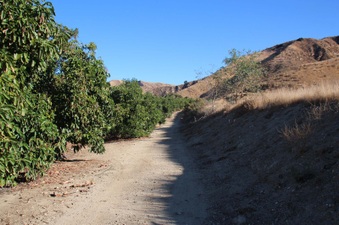 Rancho Temescal