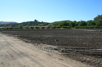Underwood Family Farms Moorpark