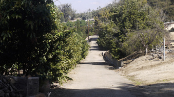 Cardenas Farm Piru