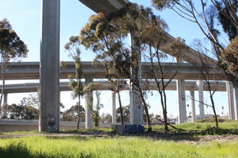 Freeway Interchanges