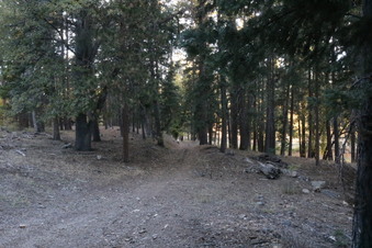 Camp Tahquitz