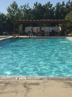 Creekside HOA Community Pool Valencia