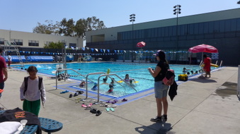 LACC Pool