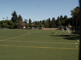 More Soccer Fields