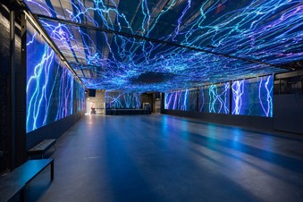 HD Buttercup Venue #7 Fashion District