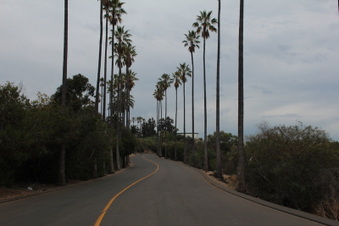 Elysian Drive