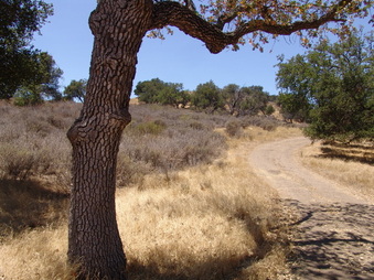 Farms Ventura County (Out of Zone)