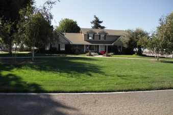 Cattle / Dairy Farms