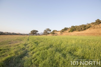 101 North Ranch 1 Santa Barbra