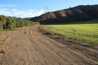 Blue House Hayfield Piru