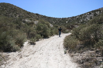 White Mountain Acton