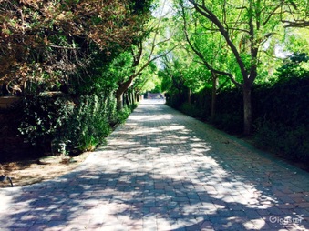 Tudor with Long Driveway