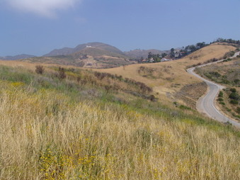 Corral Canyon Malibu