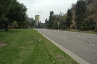 Elysian Park