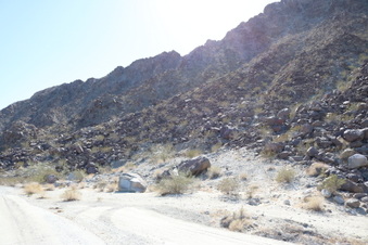 Fred Wolfe Nature Preserve