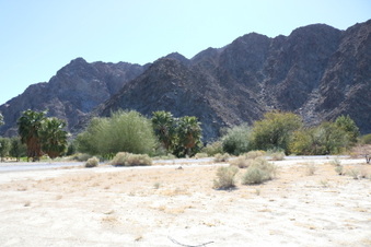 Silver Rock Golf Resort