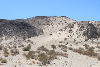 Sandy Hill on Southside