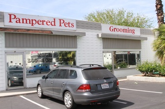 Dog Groomer
