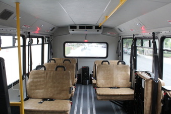Bus