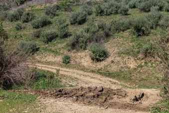 Desert Rock Formations