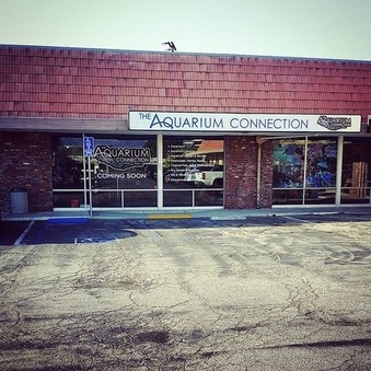 Aquarium Connection Simi Valley