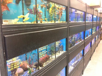 Aquatic Zoo Thousand Oaks